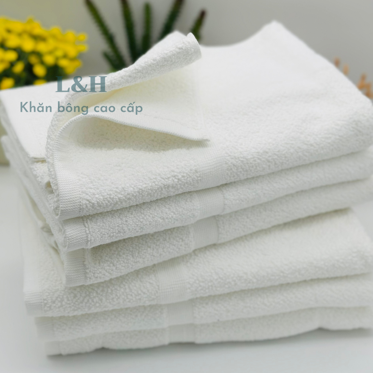Thảm chùi chân khách sạn Xuất Dư 100% cotton
